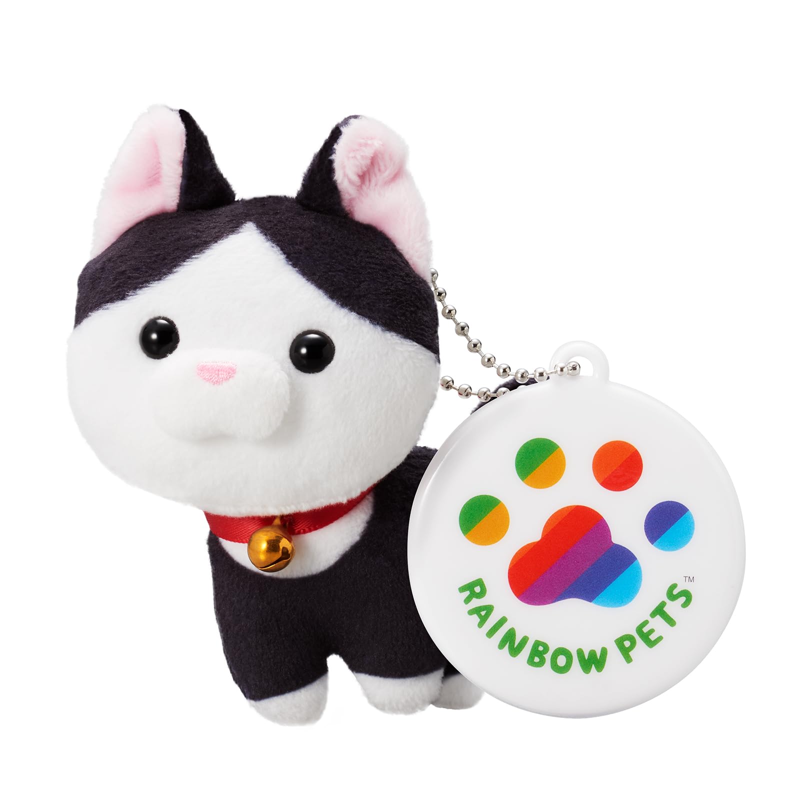 Amazon.co.jp: レインボーペット: 猫